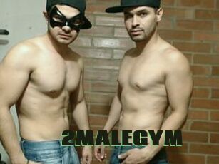 2MALEGYM