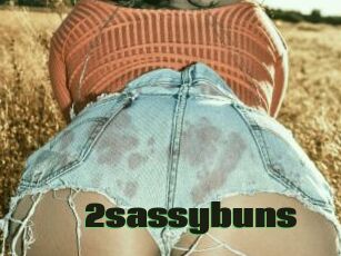 2sassybuns