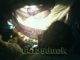 64735duck