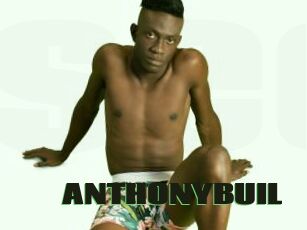 ANTHONYBUIL