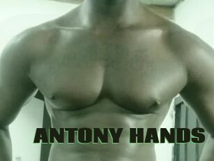 ANTONY_HANDS