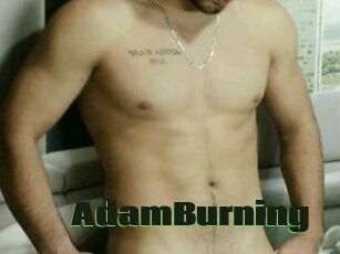 AdamBurning