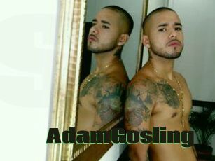 AdamGosling
