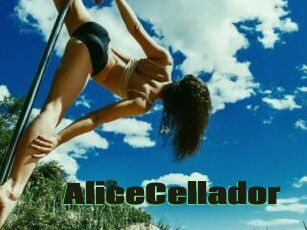 AliceCellador