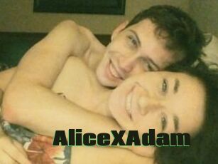 Alice_X_Adam