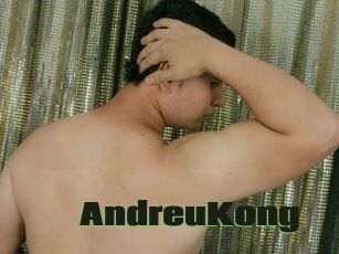 AndreuKong