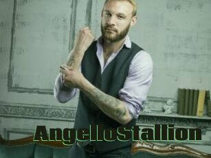 AngelloStallion