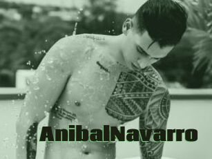 AnibalNavarro