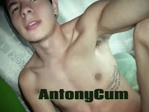 AntonyCum