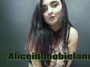 Aliceinboobieland