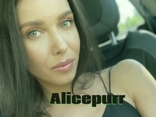 Alicepurr