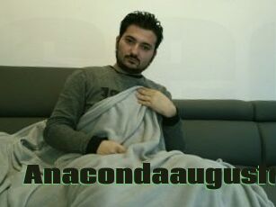 Anacondaaugusto