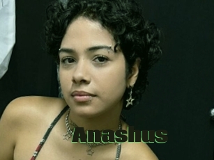 Anashus