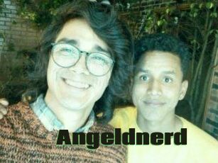 Angeldnerd