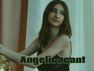 Angelicacant
