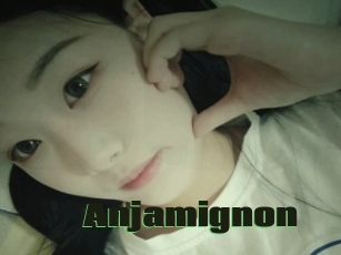 Anjamignon