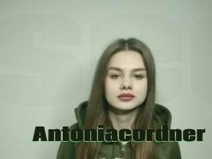 Antoniacordner