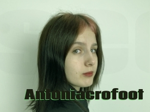 Antoniacrofoot