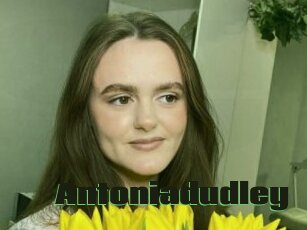 Antoniadudley