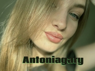 Antoniagary
