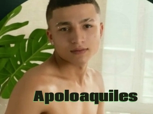 Apoloaquiles