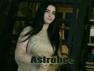 Astrobee