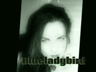 Blueladybird