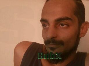 BobX