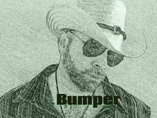 Bumper