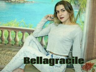 Bellagracile