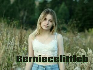 Berniecelittleb