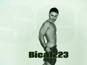 Bica1223