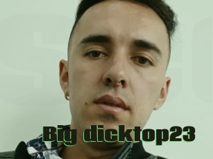 Big_dicktop23