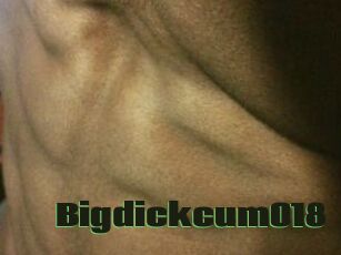 Bigdickcum018