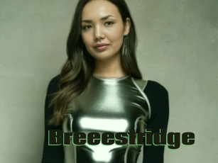 Breeestridge