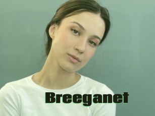 Breeganet