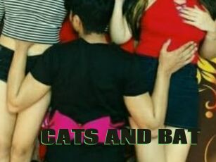 CATS_AND_BAT
