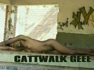 CATTWALK_GEEE