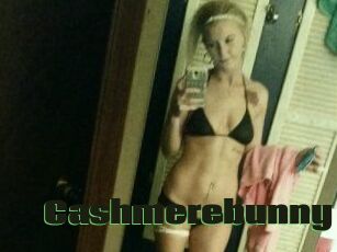 Cashmerebunny