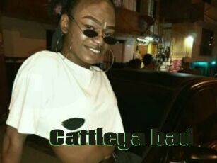 Cattleya_bad