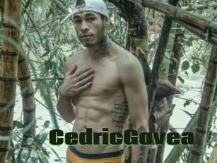 CedricGovea