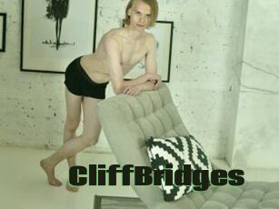 CliffBridges