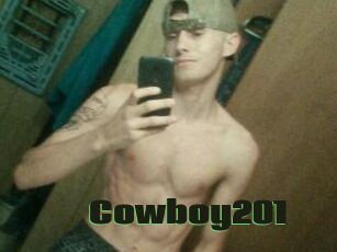 Cowboy201