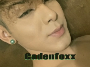 Cadenfoxx