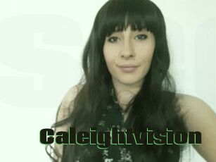 Caleightvision