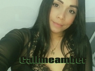 Callmeamber