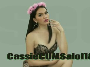 CassieCUMSalot18
