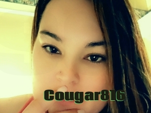 Cougar816