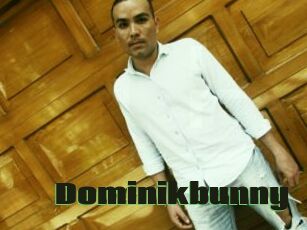 Dominikbunny