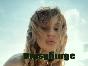 Daisyburge